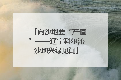 向沙地要“产值”——辽宁科尔沁沙地兴绿见闻