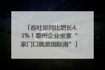 吞吐量同比增长4.3%！泰州企业坐享“家门口就是国际港”