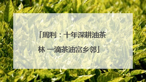 周利：十年深耕油茶林 一滴茶油富乡邻