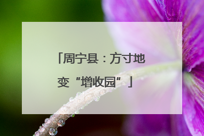 周宁县：方寸地变“增收园”