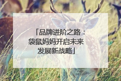品牌进阶之路：袋鼠妈妈开启未来发展新战略