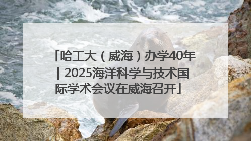 哈工大（威海）办学40年｜2025海洋科学与技术国际学术会议在威海召开