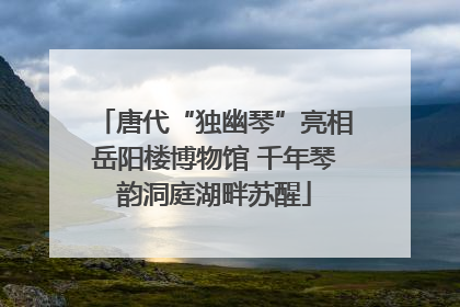 唐代“独幽琴”亮相岳阳楼博物馆 千年琴韵洞庭湖畔苏醒