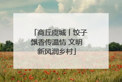 商丘虞城丨饺子飘香传温情 文明新风润乡村