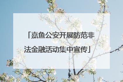 嘉鱼公安开展防范非法金融活动集中宣传