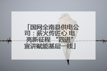 国网全南县供电公司：薪火传匠心 电亮新征程 “四进”宣讲赋能基层一线
