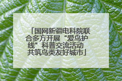 国网新疆电科院联合多方开展“爱鸟护线”科普交流活动 共筑鸟类友好城市