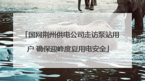 国网荆州供电公司走访泵站用户 确保迎峰度夏用电安全