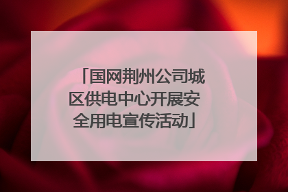 国网荆州公司城区供电中心开展安全用电宣传活动