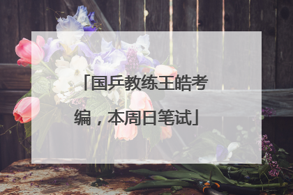 国乒教练王皓考编，本周日笔试