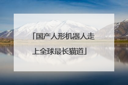 国产人形机器人走上全球最长猫道