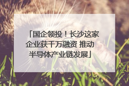 国企领投！长沙这家企业获千万融资 推动半导体产业链发展