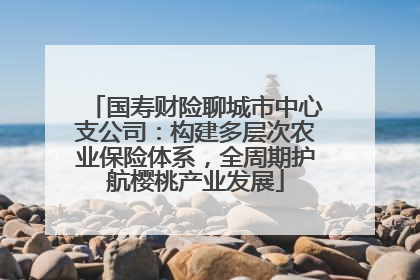 国寿财险聊城市中心支公司：构建多层次农业保险体系，全周期护航樱桃产业发展