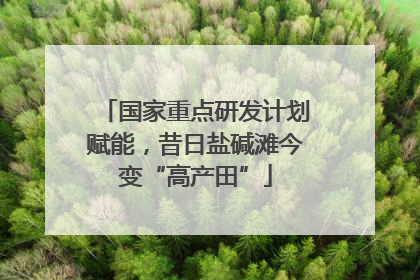 国家重点研发计划赋能，昔日盐碱滩今变“高产田”