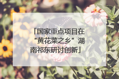 国家重点项目在“黄花菜之乡”湖南祁东研讨创新