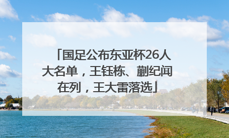 国足公布东亚杯26人大名单，王钰栋、蒯纪闻在列，王大雷落选
