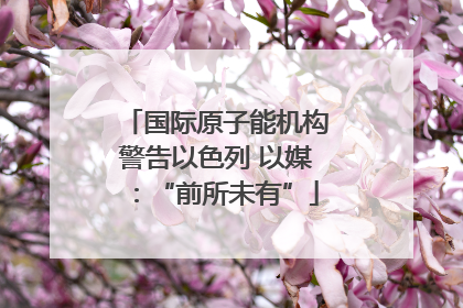 国际原子能机构警告以色列 以媒：“前所未有”
