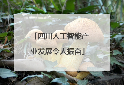 四川人工智能产业发展令人振奋