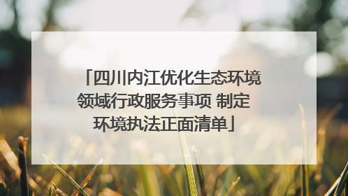 四川内江优化生态环境领域行政服务事项 制定环境执法正面清单