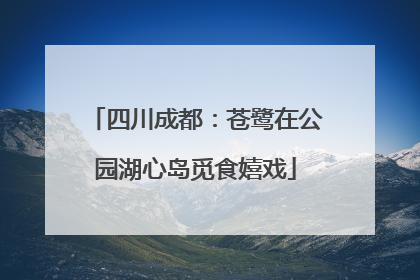 四川成都：苍鹭在公园湖心岛觅食嬉戏