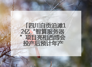 四川自贡沿滩12亿“智算服务器”项目亮相西博会 投产后预计年产值达15亿元