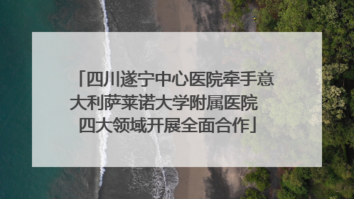 四川遂宁中心医院牵手意大利萨莱诺大学附属医院 四大领域开展全面合作
