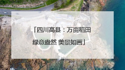 四川高县：万亩稻田绿意盎然 美景如画