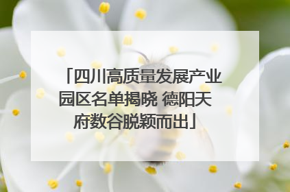 四川高质量发展产业园区名单揭晓 德阳天府数谷脱颖而出