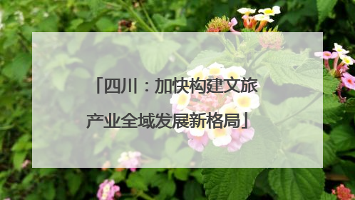 四川：加快构建文旅产业全域发展新格局