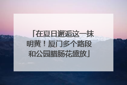 在夏日邂逅这一抹明黄！厦门多个路段和公园腊肠花盛放
