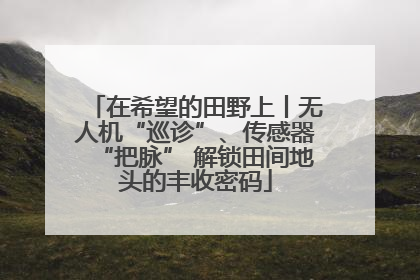 在希望的田野上丨无人机“巡诊”、传感器“把脉” 解锁田间地头的丰收密码
