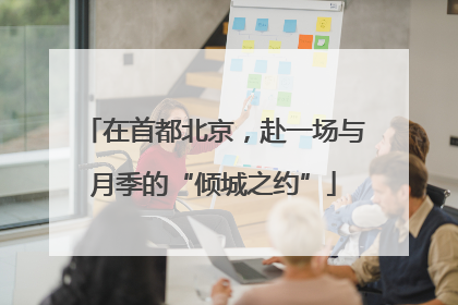 在首都北京，赴一场与月季的“倾城之约”