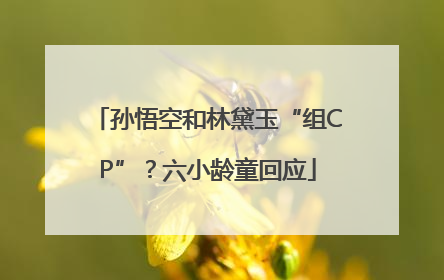 孙悟空和林黛玉“组CP”？六小龄童回应