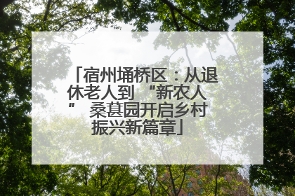 宿州埇桥区：从退休老人到 “新农人” 桑葚园开启乡村振兴新篇章