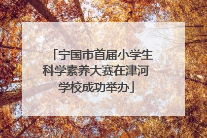 宁国市首届小学生科学素养大赛在津河学校成功举办