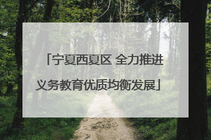 宁夏西夏区 全力推进义务教育优质均衡发展