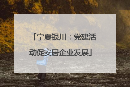 宁夏银川：党建活动促安居企业发展
