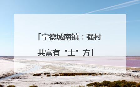 宁德城南镇：强村共富有“土”方