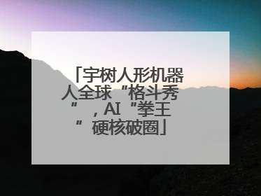 宇树人形机器人全球“格斗秀”，AI“拳王”硬核破圈