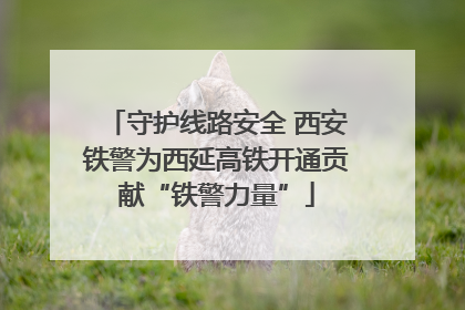 守护线路安全 西安铁警为西延高铁开通贡献“铁警力量”