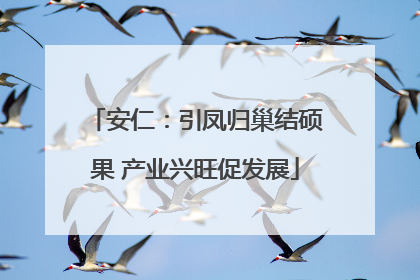 安仁：引凤归巢结硕果 产业兴旺促发展