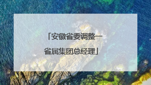 安徽省委调整一省属集团总经理