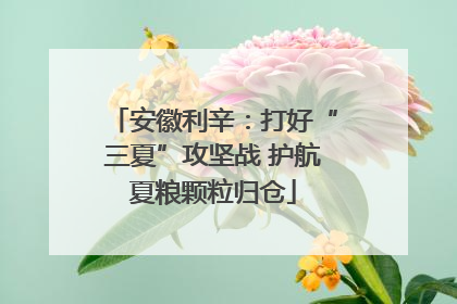 安徽利辛：打好“三夏”攻坚战 护航夏粮颗粒归仓