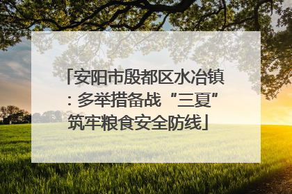安阳市殷都区水冶镇：多举措备战“三夏” 筑牢粮食安全防线