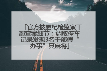 官方披露纪检监察干部查案细节：调取停车记录发现3名干部假“办事”真麻将