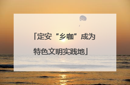 定安“乡咖”成为特色文明实践地