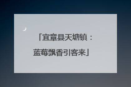 宜章县天塘镇：蓝莓飘香引客来