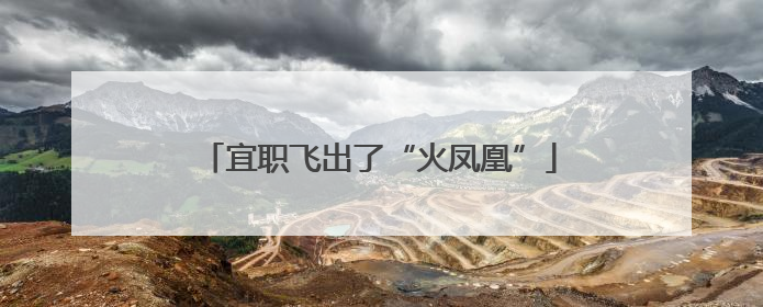宜职飞出了“火凤凰”