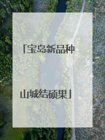 宝岛新品种 山城结硕果