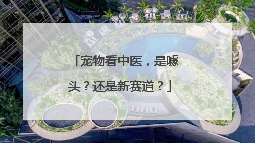 宠物看中医，是噱头？还是新赛道？